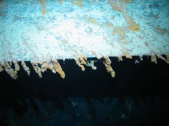 Concealment flap for above-water torpedo tubes on stbd side